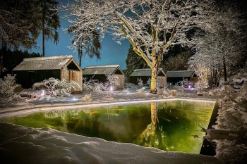 ref-winter