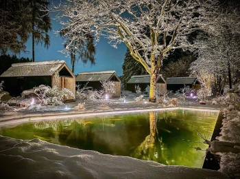 ref-winter
